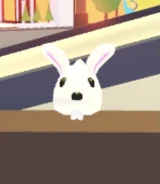 The Spring Bunny Leash on display..jpg (20 KB) The Spring Bunny Leash on display.