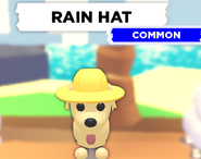 AM Rain Hat