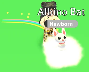 Rainbow Stroller Adopt Me Wiki Fandom My tt sunflower.playz00my ig sunflower.playz00i can't get the link for the channels but just search up trurtle squad or panda playz. rainbow stroller adopt me wiki fandom