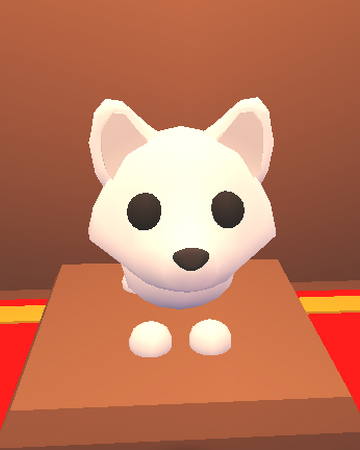 Arctic Fox Adopt Me Wiki Fandom A pet that went on sale for 300 robux. arctic fox adopt me wiki fandom
