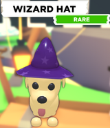 The Wizard Hat as seen on a Dog.