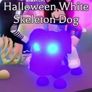 The original Mega Neon Halloween White Skeleton Dog before it was changed.