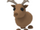 Reindeer