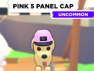 AM Pink 5 Panel Cap