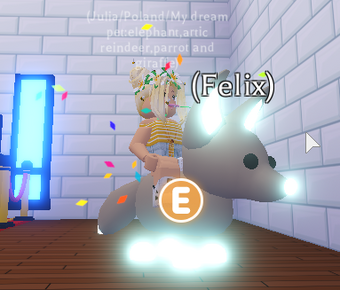 Fennec Fox Adopt Me Wiki Fandom - what people trade for mega neon pink cat giveaway roblox adopt me youtube