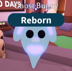 Ghost Bunny Adopt Me Wiki Fandom - roblox adopt me bunny pet