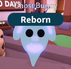 Ghost Bunny, Trade Roblox Adopt Me Items