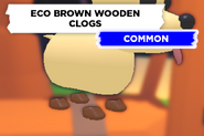 The Eco Brown Wooden Clogs as seen on a Dog.