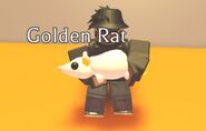 A Player Holding the Golden Rat