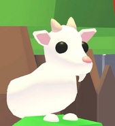 Goat.webp (21 KB) The teaser image of the Goat.