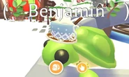 Eggnog hat on a turtle.jpg (48 KB) The Eggnog Hat on a Turtle.