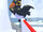 Maleo Bird