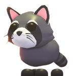 Raccoon
