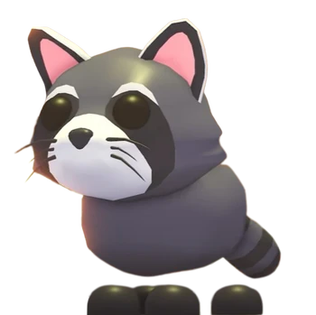 Raccoon Adopt Me Wiki Fandom