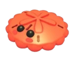 Red Sand Dollar