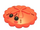 Red Sand Dollar