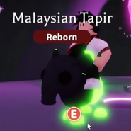 Neon Malayan Tapir (Common)