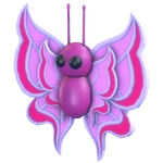 Papillon orchidée