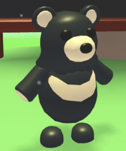 Black Moon Bear, Trade Roblox Adopt Me Items