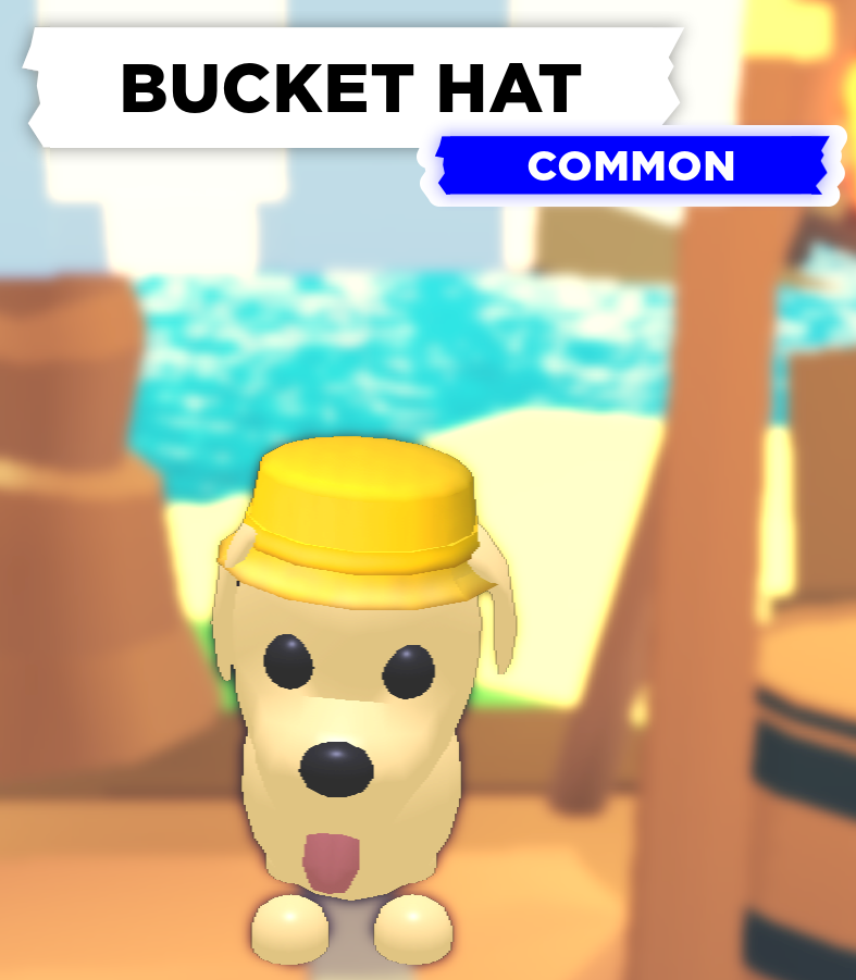 Bucket Hat Adopt Me Wiki Fandom - adopt me roblox pets common