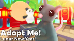 Rat rescue near me sales