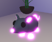 Neon Rat (Rare)