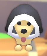 Black Cozy Hood.png (102 KB) The Black Cozy Hood as seen on a Dog.