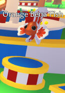 Orange Betta Fish | Adopt Me! Wiki | Fandom