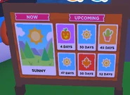 Halloween Weather Board.png (80 KB) The weather board displaying the Halloween Event countdown.