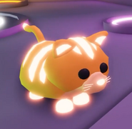 Neon Ginger Cat