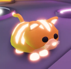 Ginger Cat Adopt Me Wiki Fandom - roblox adopt me pets ginger cat