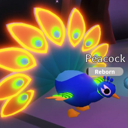 Neon Pets Adopt Me Wiki Fandom