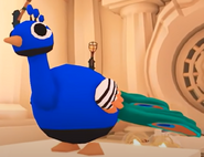 Peacock | Adopt Me! Wiki | Fandom