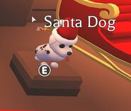 The Santa Dog.