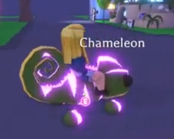 Chameleon, Trade Roblox Adopt Me Items