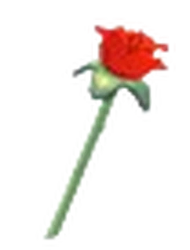 Rose Throw Toy | Adopt Me! Wiki | Fandom