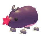 Mole (Pet)