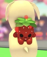 Strawberry Plushie Rider | Adopt Me! Wiki | Fandom