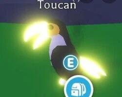 Toucan Adopt Me Wiki Fandom