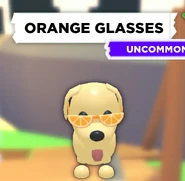 The Orange Glasses.jpg (142 KB) The Orange Glasses on a Dog.