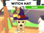 AM witch hat