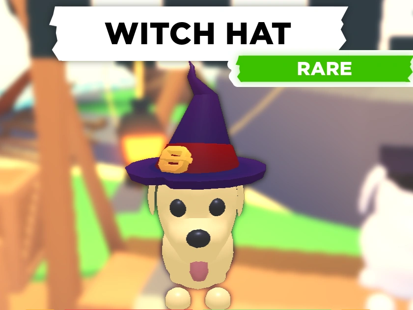 Witch Hat Adopt Me! Wiki Fandom