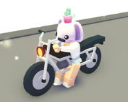 A player driving the Motorcycle.