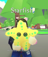 Una Estrella de mar Mega Neón