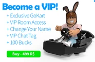 Old VIP Perks.png (120 KB) The GoKart as seen in the "Become a VIP!" pop-up.
