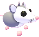 Possum