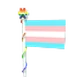 Transgender Flag 2023