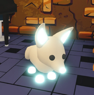 Fennec Fox | Adopt Me! Wiki | Fandom