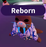 A Neon Summer Walrus.