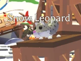 Snow Leopard